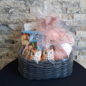 AVAILABLE Baby Basket 1 item