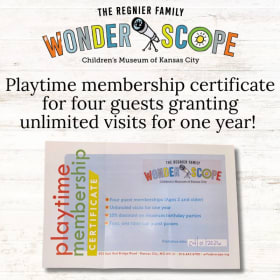 Wonderscope - Playtime Yearly Membership item