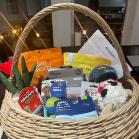 Fun for Fido! Treat Your Furry Friend item