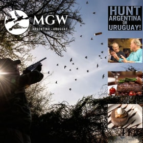 Premier Dove Hunt for 5 – Argentina or Uruguay item