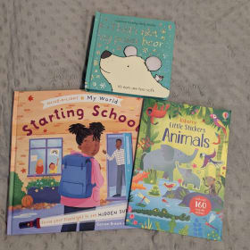Children's House (Girls) Books & Stem Toy Raffle Ticket item