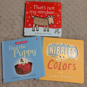 Children's House (Boys) Books & Stem Toy Raffle Ticket item