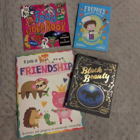 Lower El (Girls) Books and Stem Toys Raffle Ticket item