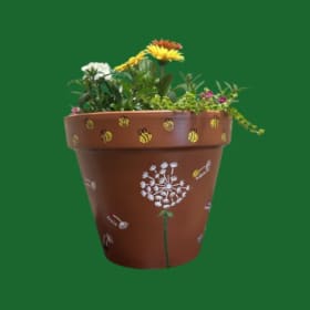 KC Mrs. Vasilj's Classroom Project item