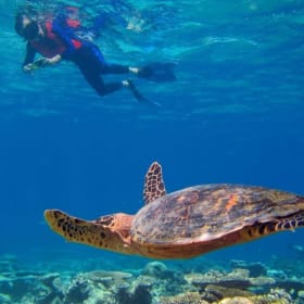 5-Star Maldives Island Villa for 2 item