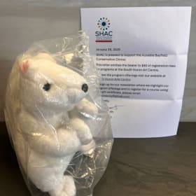 E24 - SHAC Workshop & Plush White Squirrel item