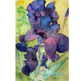 187 Penney De Pas item