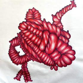 244 Yuliett Lozano item