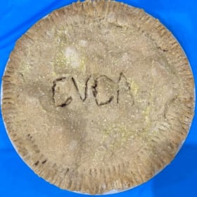 Salted Caramel Apple Pie item