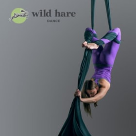 Wild Hare Dance Private Aerial Dance Lesson for 3 item