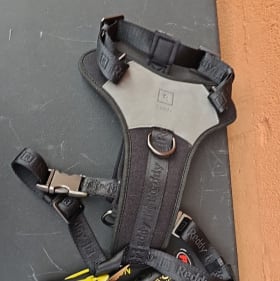 Reddy Canvas Dog Harness & Flexi Neon Dog Leash Med item