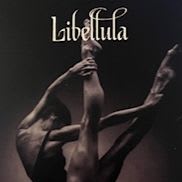 Libellula Pilates item
