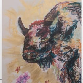 Sunshine  Buffalo item