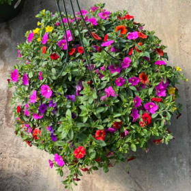 Hanging Floral Basket item