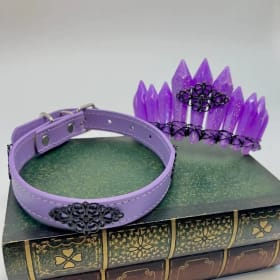 Custom-Made Crystal Crown with Matching Dog Collar item