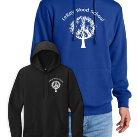 Youth Hoodie (DT6100Y) item