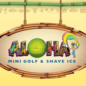 Item #013: Aloha Mini Golf & Shave Ice item