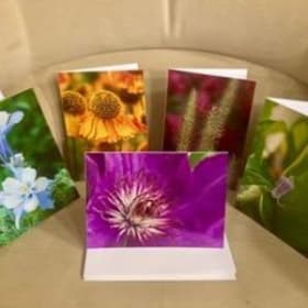 Item #021:  Susan Marske Photography #8- 5x7 cards item