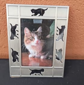 Cat Design Picture Frame by Carr item