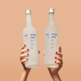 * BONUS ITEM* Case of Goodnight Loving Vodka! item