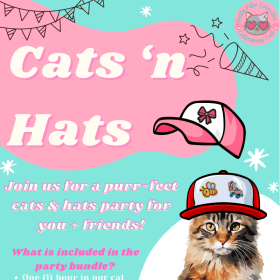 Cats N’ Hats Party for 10 at Cattiesburg Cafe! item