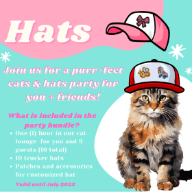 Cats N’ Hats Party for 10 at Cattiesburg Cafe! item
