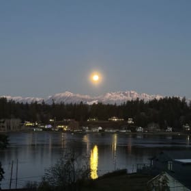 Homemade Indian Dinner for 4 Hosted or Delivered item