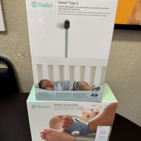 Owlet Cam and Sock #1 item