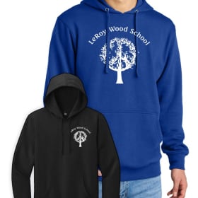 Adult Hoodie (DT6100) item