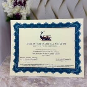 Look to the Sky item