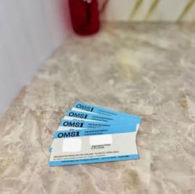 Day at the Museum item