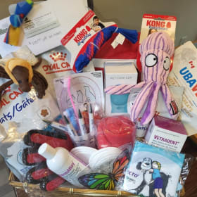 Pet Basket. $400 Value item