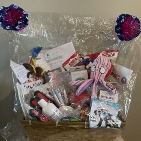 Pet Basket. $400 Value item