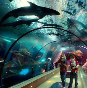 Oregon Coast Aquarium  tickets item