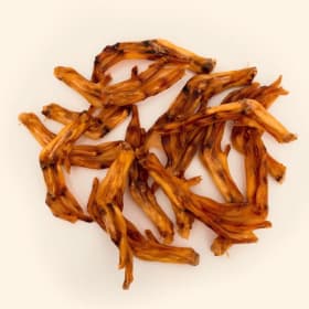 Duck Feet item