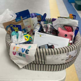Pet Basket item
