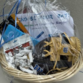 16. A100 Glove & Choose Your Bat!! item