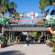 "'Bay Area Exerience" Package - Bid Increment: $25 item