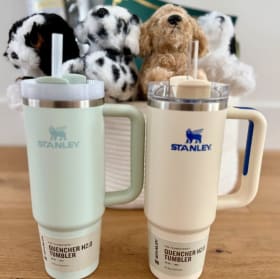 "Puppy Yoga" - VALUE $370 (2nd Grade - Sandberg) item