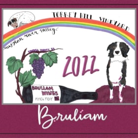 Item #024: Bruliam 2022 Torey Hill Pinot Noir Magnum item