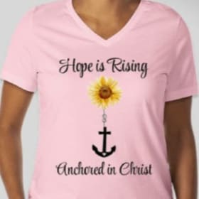 Pink V-Neck T-shirt (S) item