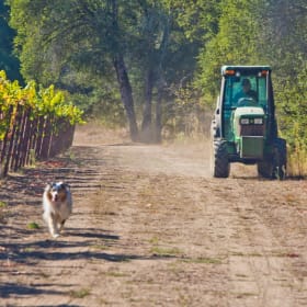 Wine Tasting for 6 at Storrs item