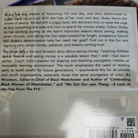 Shaka Learns To Save item