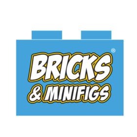 Bricks & MiniFigs Birthday party package item