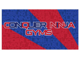 Conquer Ninja Gyms	4 gym passes (lot 1) item