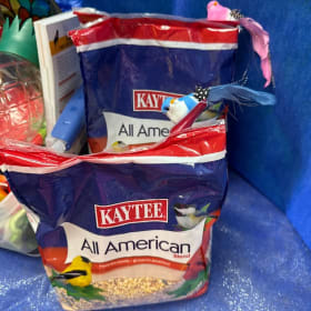 Backyard Birdwatching Basket item