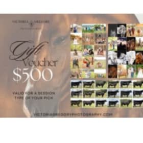 Victoria Gregory Photograph Session item