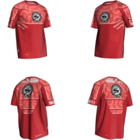 Reddish/Pinkish Jersey item