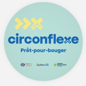 4 autocollants 4x4 génériques item