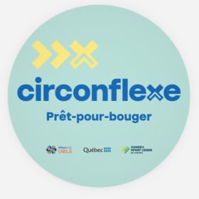 8 autocollants 4x4 génériques item